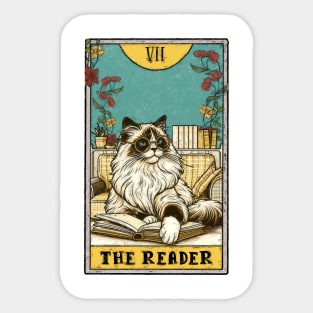 Funny cat | The Reader tarot deck | Funny cat and books Sticker